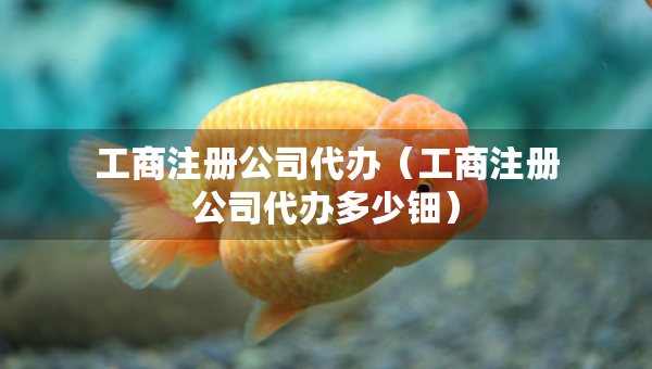 工商注册公司代办（工商注册公司代办多少钿）