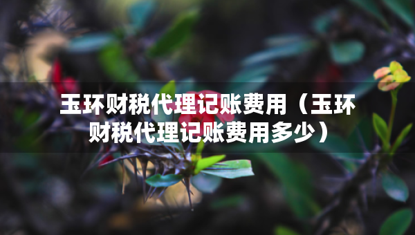 玉环财税代理记账费用(玉环财税代理记账费用多少) 玉环财税代理记账费用(玉环财税代理记账费用多少)