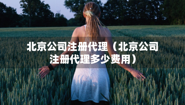 北京公司注册代理（北京公司注册代理多少费用）