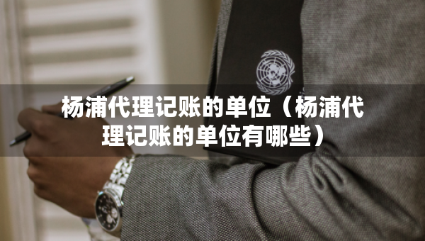 杨浦代理记账的单位（杨浦代理记账的单位有哪些）