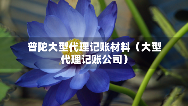 普陀大型代理记账材料（大型代理记账公司）