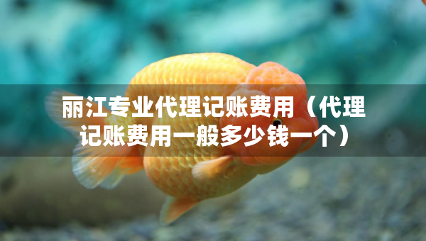 丽江专业代理记账费用（代理记账费用一般多少钱一个）