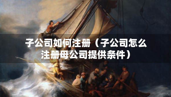 子公司如何注册（子公司怎么注册母公司提供条件）
