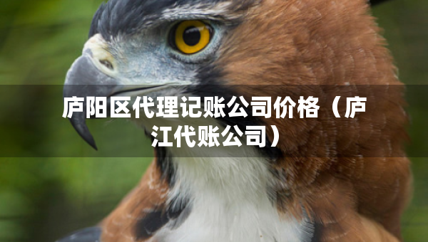 庐阳区代理记账公司价格（庐江代账公司）