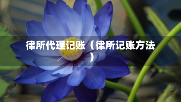 律所代理记账（律所记账方法）