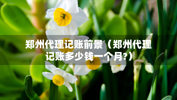 郑州代理记账前景（郑州代理记账多少钱一个月?）