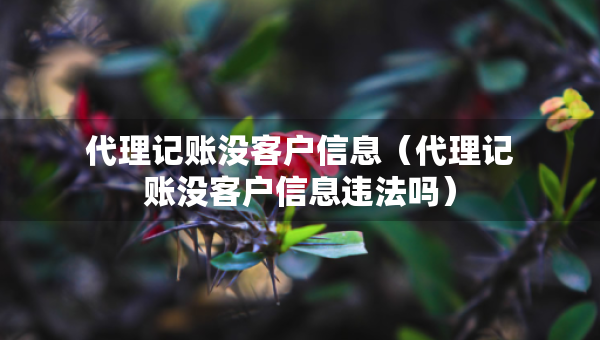 代理记账没客户信息（代理记账没客户信息违法吗）
