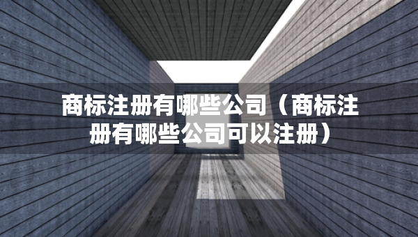 商标注册有哪些公司（商标注册有哪些公司可以注册）