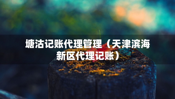 塘沽记账代理管理（天津滨海新区代理记账）