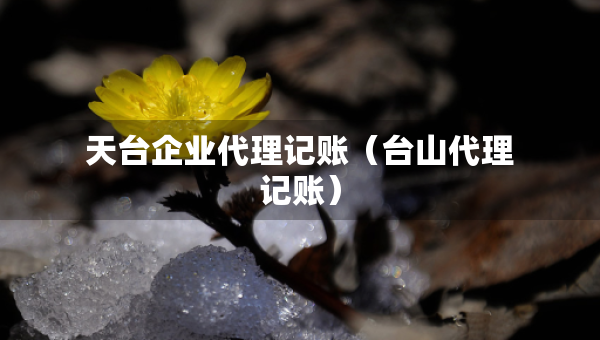 天台企业代理记账（台山代理记账）