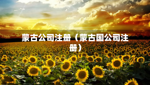 蒙古公司注册（蒙古国公司注册）