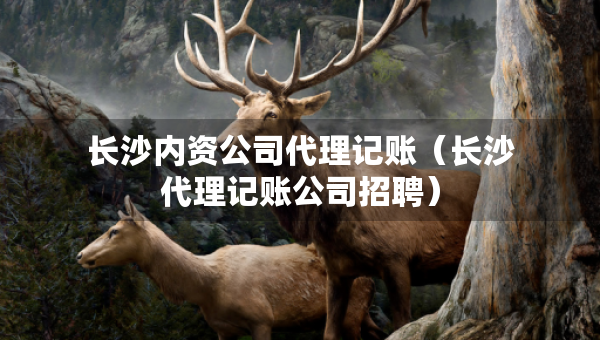 长沙内资公司代理记账（长沙代理记账公司招聘）