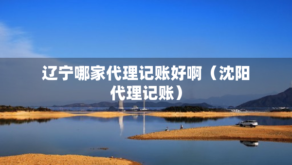 辽宁哪家代理记账好啊（沈阳代理记账）