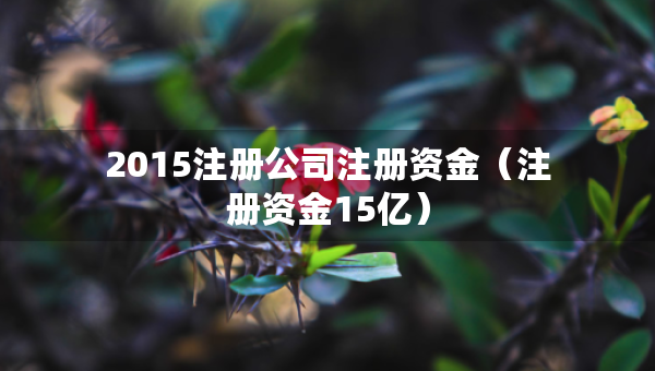 2015注册公司注册资金（注册资金15亿）