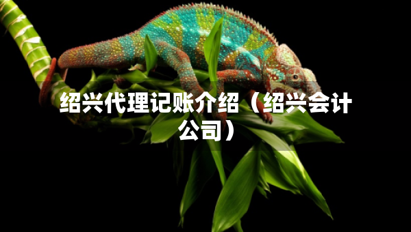 绍兴代理记账介绍（绍兴会计公司）