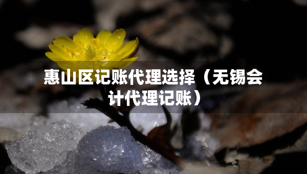 惠山区记账代理选择（无锡会计代理记账）