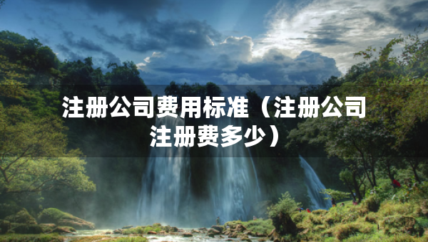 注册公司费用标准（注册公司注册费多少）