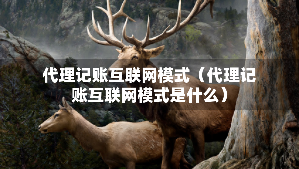 代理记账互联网模式（代理记账互联网模式是什么）