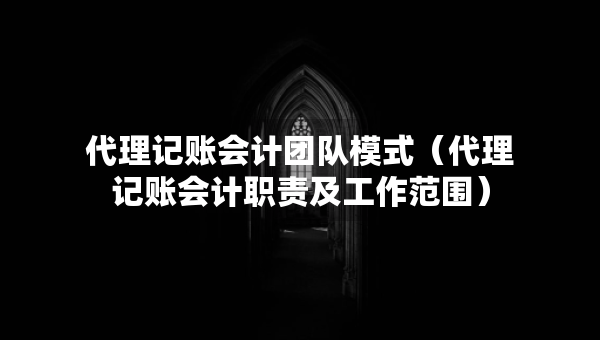 代理记账会计团队模式（代理记账会计职责及工作范围）