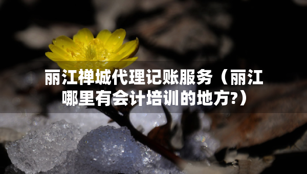 丽江禅城代理记账服务（丽江哪里有会计培训的地方?）