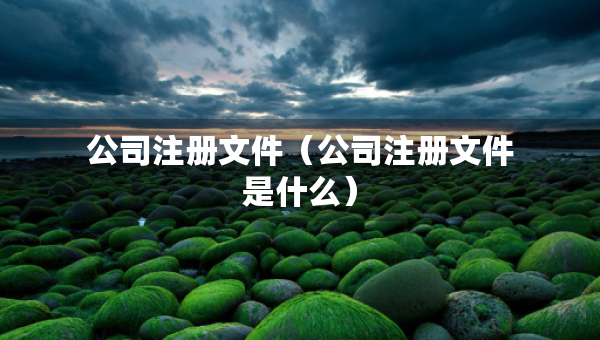 公司注册文件（公司注册文件是什么）