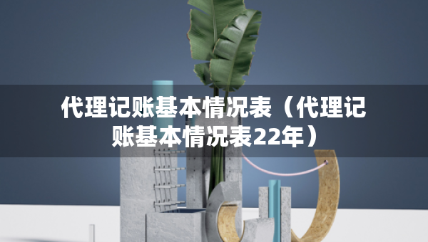 代理记账基本情况表（代理记账基本情况表22年）