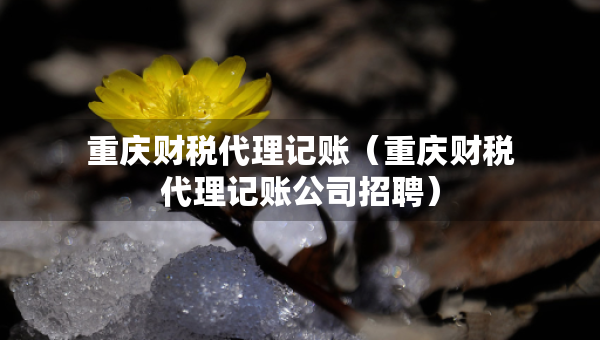 重庆财税代理记账（重庆财税代理记账公司招聘）