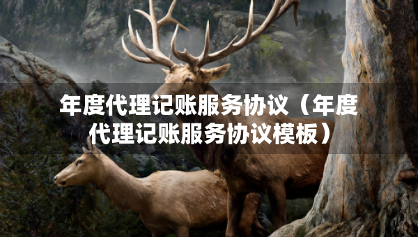 年度代理记账服务协议（年度代理记账服务协议模板）