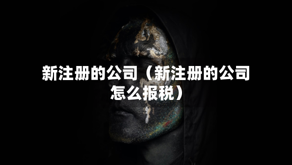 新注册的公司（新注册的公司怎么报税）