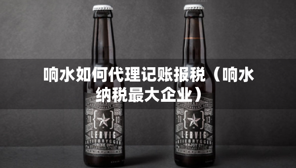 响水如何代理记账报税（响水纳税最大企业）