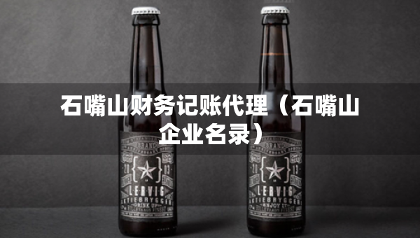 石嘴山财务记账代理（石嘴山企业名录）