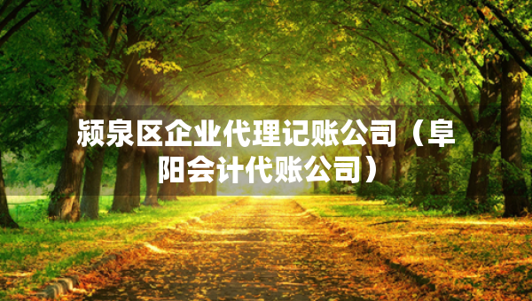 颍泉区企业代理记账公司(阜阳会计代账公司) 颍泉区企业代理记账公司(阜阳会计代账公司)