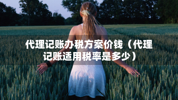 代理记账办税方案价钱（代理记账适用税率是多少）