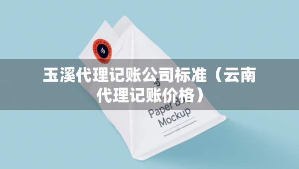 玉溪代理记账公司标准（云南代理记账价格）