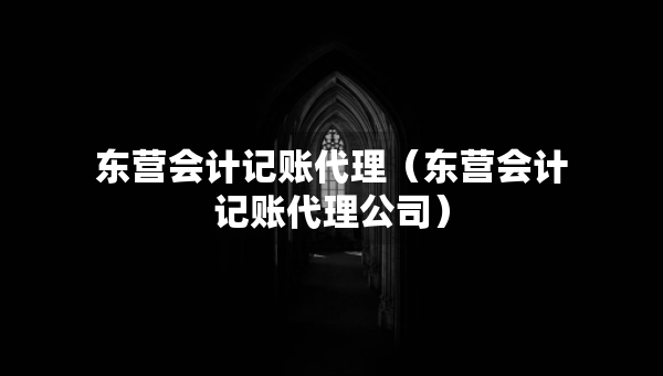 东营会计记账代理（东营会计记账代理公司）