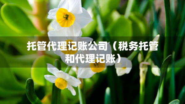 托管代理记账公司（税务托管和代理记账）