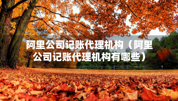 阿里公司记账代理机构（阿里公司记账代理机构有哪些）