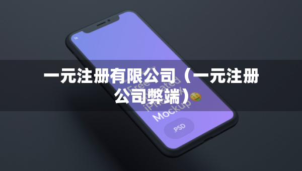 一元注册有限公司（一元注册公司弊端）