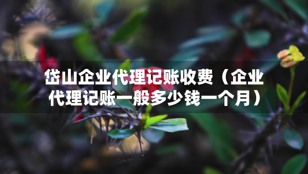 岱山企业代理记账收费（企业代理记账一般多少钱一个月）