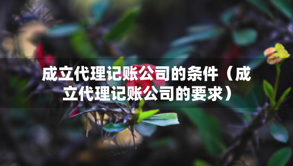 成立代理记账公司的条件（成立代理记账公司的要求）