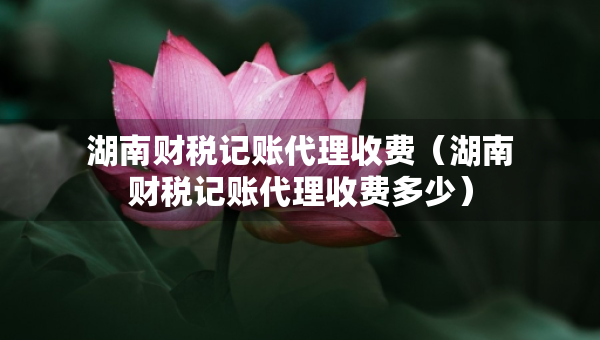湖南财税记账代理收费（湖南财税记账代理收费多少）