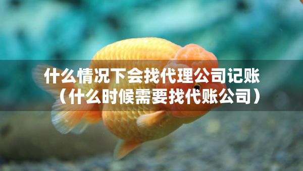 什么情况下会找代理公司记账（什么时候需要找代账公司）