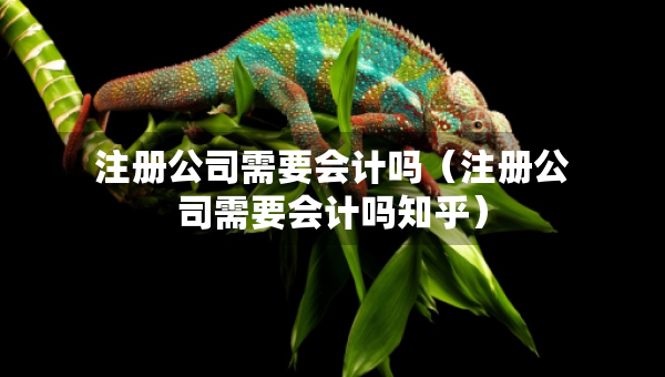 注册公司需要会计吗（注册公司需要会计吗知乎）