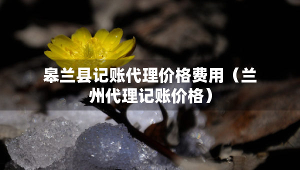 皋兰县记账代理价格费用（兰州代理记账价格）