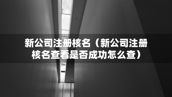 新公司注册核名（新公司注册核名查看是否成功怎么查）