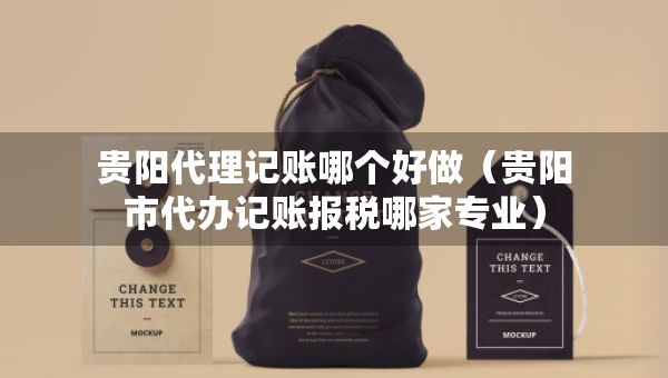 贵阳代理记账哪个好做（贵阳市代办记账报税哪家专业）