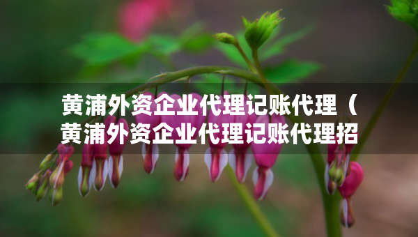 黄浦外资企业代理记账代理（黄浦外资企业代理记账代理招聘）