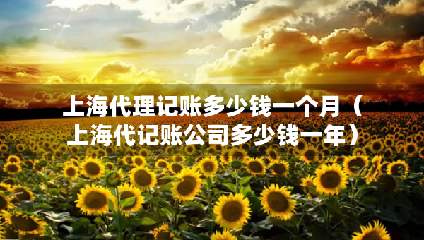 上海代理记账多少钱一个月（上海代记账公司多少钱一年）