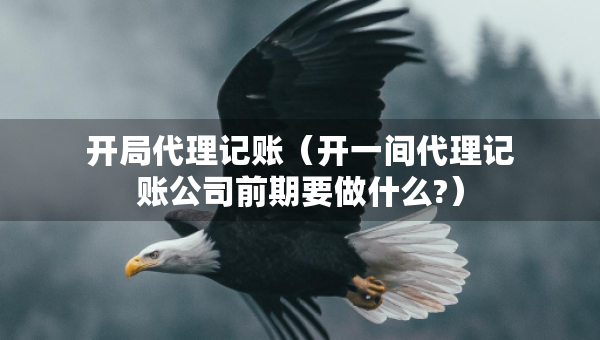 开局代理记账（开一间代理记账公司前期要做什么?）