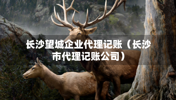 长沙望城企业代理记账（长沙市代理记账公司）